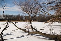 Dateiname=Berlin-Wedding-Rehberge-Ploetzensee-20060227-34.jpg
Dateigröße=310KB
Abmessungen: 880x586
hinzugefügt am: 04. Januar 2016 Berlin-Wedding-Rehberge-Ploetzensee-20060227-34.jpg