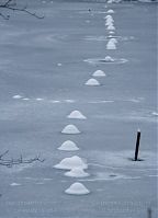 Dateiname=Berlin-Wedding-Rehberge-Ploetzensee-20100101-20.jpg
Dateigröße=131KB
Abmessungen: 635x880
hinzugefügt am: 04. Januar 2016 Berlin-Wedding-Rehberge-Ploetzensee-20100101-20.jpg