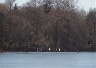 Dateiname=Berlin-Wedding-Rehberge-Ploetzensee-20110306-10.jpg
Dateigröße=226KB
Abmessungen: 880x619
hinzugefügt am: 04. Januar 2016 Berlin-Wedding-Rehberge-Ploetzensee-20110306-10.jpg