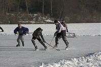 Berlin-Wedding-Rehberge-Ploetzensee-20120211-109.jpg