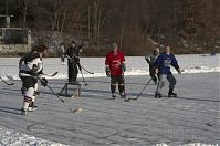Berlin-Wedding-Rehberge-Ploetzensee-20120211-110.jpg
