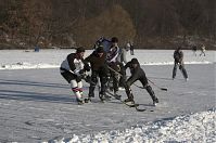 Berlin-Wedding-Rehberge-Ploetzensee-20120211-112.jpg