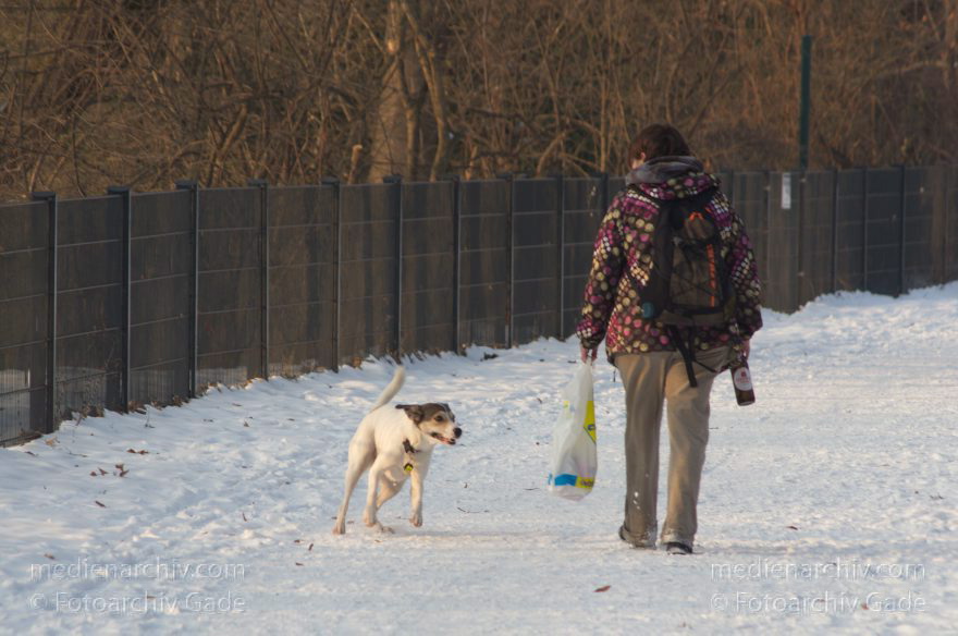 Berlin. Wedding. Rehberge. Winter. Freilaufende Hunde
31. 1. 2014. Berlin. Mitte. Wedding. Rehberge. Winter. Schnee. Freilaufende Hunde
Schlüsselwörter: Berlin;Hunde;Mitte;Rehberge;Schnee;Wedding;2012;Winter