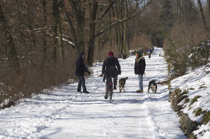 Berlin. Wedding. Winter. Schnee. Verschneiter Weg entlang des Plötzensees. Hunde und Menschen
24. 3. 2013. Berlin. Wedding. Winter. Schnee. Verschneiter Weg entlang des Plötzensees. Hunde und Menschen
Schlüsselwörter: Berlin;Deutschland;Germany;Hunde;Schnee;Wedding;2013;Winter