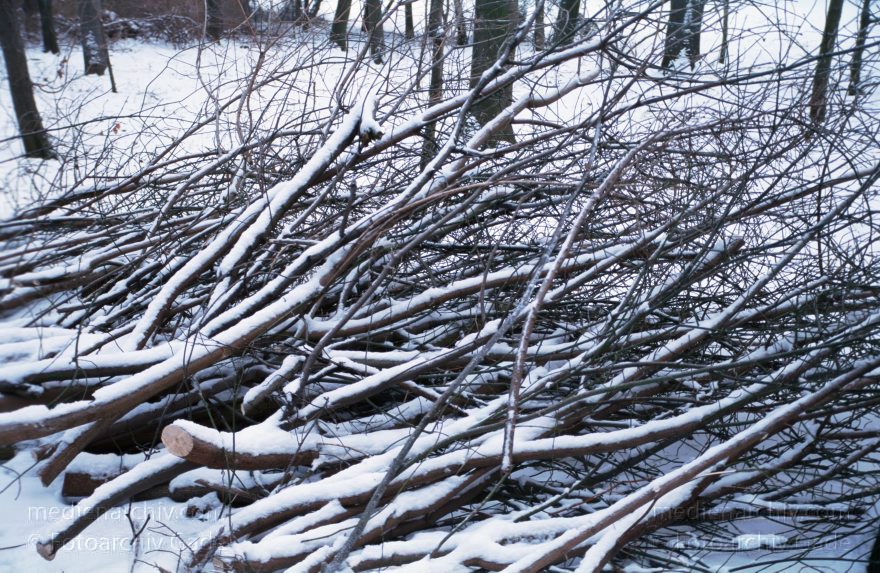 Berlin. Park Rehberge. Winter.
Januar 2003. Berlin. Wedding. Park Rehberge. Winter.
Schlüsselwörter: Berlin;Deutschland;Eis;Germany;Rehberge;Schnee;Wedding;1993;Winter