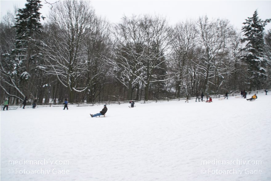 Berlin. Park Rehberge. Es liegt viel Schnee. Winter. Rodeln. Schlittenfahren.
1. 1. 2010. Berlin. Mitte. Wedding. Park Rehberge. Es liegt viel Schnee. Winter. Rodeln. Schlittenfahren.
Schlüsselwörter: Berlin;Deutschland;Germany;Mitte;Rehberge;Rodelbahn;rodeln;Schlitten;Schnee;Wedding;Winter;2010;Wintersport