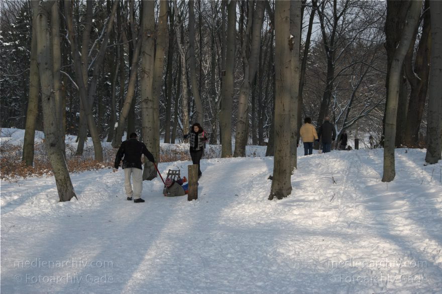 Berlin. Park Rehberge. Rodeln. Schlittenfahren. Schnee.
3. 1. 2010. Berlin. Mitte. Wedding. Park Rehberge. Rodeln. Schlittenfahren. Schnee.
Schlüsselwörter: Berlin;Deutschland;Germany;Mitte;Park;Rehberge;rodeln;Schlitten;Schnee;Wedding;2010;Winter
