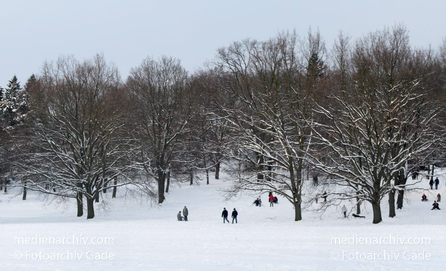 Berlin. Park Rehberge. Rodeln. Schlittenfahren. Schnee.
3. 1. 2010. Berlin. Mitte. Wedding. Park Rehberge. Rodeln. Schlittenfahren. Schnee.
Schlüsselwörter: Berlin;Deutschland;Germany;Mitte;Park;Rehberge;rodeln;Schlitten;Schnee;Wedding;2010;Winter