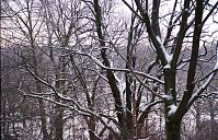 Dateiname=Berlin-Wedding-Rehberge-Winter-200201-21.jpg
Dateigröße=424KB
Abmessungen: 880x567
hinzugefügt am: 04. Januar 2016 Berlin-Wedding-Rehberge-Winter-200201-21.jpg