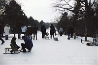 Dateiname=Berlin-Wedding-Rehberge-Winter-20050305-11.jpg
Dateigröße=182KB
Abmessungen: 880x586
hinzugefügt am: 04. Januar 2016 Berlin-Wedding-Rehberge-Winter-20050305-11.jpg