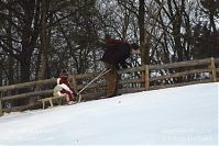Dateiname=Berlin-Wedding-Rehberge-Winter-20050305-20.jpg
Dateigröße=215KB
Abmessungen: 880x586
hinzugefügt am: 04. Januar 2016 Berlin-Wedding-Rehberge-Winter-20050305-20.jpg