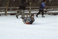 Dateiname=Berlin-Wedding-Rehberge-Winter-20050305-44.jpg
Dateigröße=133KB
Abmessungen: 880x586
hinzugefügt am: 04. Januar 2016 Berlin-Wedding-Rehberge-Winter-20050305-44.jpg