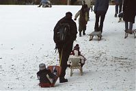Dateiname=Berlin-Wedding-Rehberge-Winter-20050305-46.jpg
Dateigröße=163KB
Abmessungen: 880x586
hinzugefügt am: 04. Januar 2016 Berlin-Wedding-Rehberge-Winter-20050305-46.jpg