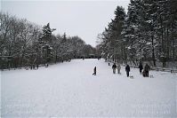 Berlin-Wedding-Rehberge-Winter-20100101-10.jpg