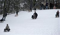Berlin-Wedding-Rehberge-Winter-20100101-14.jpg