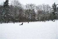 Berlin-Wedding-Rehberge-Winter-20100101-15.jpg