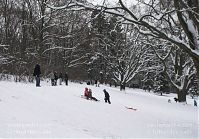 Berlin-Wedding-Rehberge-Winter-20100101-18.jpg