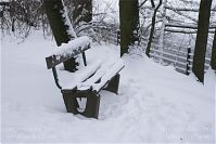 Berlin-Wedding-Rehberge-Winter-20100101-181.jpg