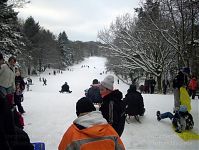 Berlin-Wedding-Rehberge-Winter-20100102-15.jpg