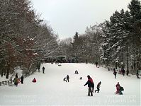 Berlin-Wedding-Rehberge-Winter-20100102-21.jpg