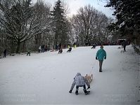 Berlin-Wedding-Rehberge-Winter-20100102-26.jpg