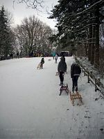 Dateiname=Berlin-Wedding-Rehberge-Winter-20100102-27.jpg
Dateigröße=265KB
Abmessungen: 661x880
hinzugefügt am: 04. Januar 2016 Berlin-Wedding-Rehberge-Winter-20100102-27.jpg