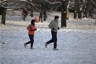 Dateiname=Berlin-Wedding-Rehberge-Winter-20100103-012.jpg
Dateigröße=191KB
Abmessungen: 880x587
hinzugefügt am: 04. Januar 2016 Berlin-Wedding-Rehberge-Winter-20100103-012.jpg