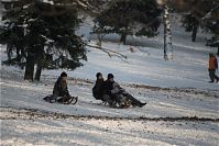 Dateiname=Berlin-Wedding-Rehberge-Winter-20100103-016.jpg
Dateigröße=214KB
Abmessungen: 880x587
hinzugefügt am: 04. Januar 2016 Berlin-Wedding-Rehberge-Winter-20100103-016.jpg