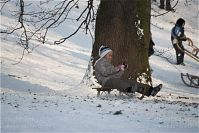 Dateiname=Berlin-Wedding-Rehberge-Winter-20100103-020.jpg
Dateigröße=188KB
Abmessungen: 880x587
hinzugefügt am: 04. Januar 2016 Berlin-Wedding-Rehberge-Winter-20100103-020.jpg
