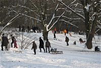 Berlin-Wedding-Rehberge-Winter-20100103-021.jpg