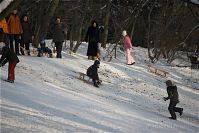 Dateiname=Berlin-Wedding-Rehberge-Winter-20100103-022.jpg
Dateigröße=218KB
Abmessungen: 880x587
hinzugefügt am: 04. Januar 2016 Berlin-Wedding-Rehberge-Winter-20100103-022.jpg