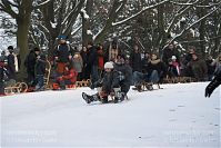 Dateiname=Berlin-Wedding-Rehberge-Winter-20100103-028.jpg
Dateigröße=212KB
Abmessungen: 880x587
hinzugefügt am: 04. Januar 2016 Berlin-Wedding-Rehberge-Winter-20100103-028.jpg