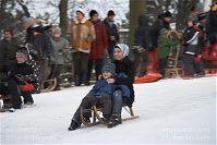 Dateiname=Berlin-Wedding-Rehberge-Winter-20100103-029.jpg
Dateigröße=150KB
Abmessungen: 880x587
hinzugefügt am: 04. Januar 2016 Berlin-Wedding-Rehberge-Winter-20100103-029.jpg
