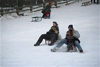 Berlin-Wedding-Rehberge-Winter-20100103-041.jpg