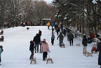 Dateiname=Berlin-Wedding-Rehberge-Winter-20100103-042.jpg
Dateigröße=253KB
Abmessungen: 880x587
hinzugefügt am: 04. Januar 2016 Berlin-Wedding-Rehberge-Winter-20100103-042.jpg