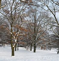 Dateiname=Berlin-Wedding-Rehberge-Winter-20100103-069.jpg
Dateigröße=594KB
Abmessungen: 858x880
hinzugefügt am: 04. Januar 2016 Berlin-Wedding-Rehberge-Winter-20100103-069.jpg