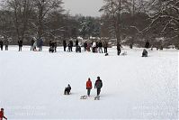 Berlin-Wedding-Rehberge-Winter-20100103-074.jpg
