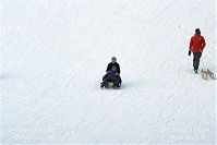 Dateiname=Berlin-Wedding-Rehberge-Winter-20100103-075.jpg
Dateigröße=162KB
Abmessungen: 880x587
hinzugefügt am: 04. Januar 2016 Berlin-Wedding-Rehberge-Winter-20100103-075.jpg