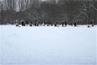 Dateiname=Berlin-Wedding-Rehberge-Winter-20100103-080.jpg
Dateigröße=191KB
Abmessungen: 880x587
hinzugefügt am: 04. Januar 2016 Berlin-Wedding-Rehberge-Winter-20100103-080.jpg