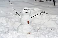 Berlin-Wedding-Rehberge-Winter-20100103-082.jpg