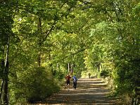 Berlin-Wedding-Rehberge-20041009-22.jpg
