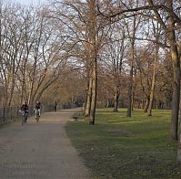 Berlin-Wedding-Rehberge-20070213-10p.jpg