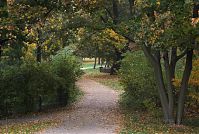 Berlin-Wedding-Rehberge-20081030-016.jpg