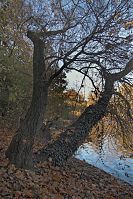 Dateiname=Berlin-Wedding-Rehberge-Ploetzensee-20051106-35a.jpg
Dateigröße=404KB
Abmessungen: 586x880
hinzugefügt am: 04. Januar 2016 Berlin-Wedding-Rehberge-Ploetzensee-20051106-35a.jpg