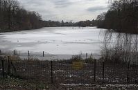 Dateiname=Berlin-Wedding-Rehberge-Ploetzensee-20090214-053a.jpg
Dateigröße=214KB
Abmessungen: 880x576
hinzugefügt am: 04. Januar 2016 Berlin-Wedding-Rehberge-Ploetzensee-20090214-053a.jpg