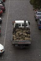 Berlin-Wedding-Sprengelkiez-Samoastrasse-200509-25.jpg