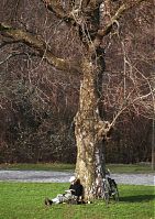 Dateiname=Berlin-Wedding-Div-200211-88.jpg
Dateigröße=378KB
Abmessungen: 622x880
hinzugefügt am: 04. Januar 2016 Berlin-Wedding-Div-200211-88.jpg