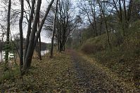 Berlin-Wedding-Div-20091115-10.jpg