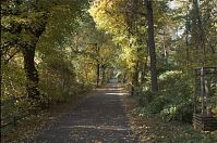 Berlin-Wedding-Div-20111030-010.jpg