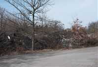 Berlin-Wedding-Rehberge-20100318-08.jpg